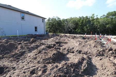 New construction Single-Family house 5016 Bromeliad Avenue, Wimauma, FL 33598 Dali- photo 6 6