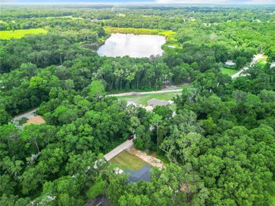 New construction Single-Family house 3251 Se 147Th Lane, Summerfield, FL 34491 - photo 29 29