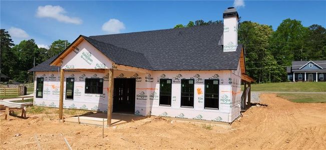 New construction Single-Family house Cochran Road, Dallas, GA 30132 - photo 6 6