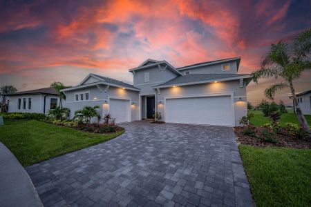 Serengeti by Biscayne Homes in Spring Hill - photo