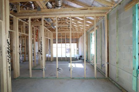 New construction Single-Family house 33224 Amling Pecan Branch, Wesley Chapel, FL 33545 Newport II- photo 15 15