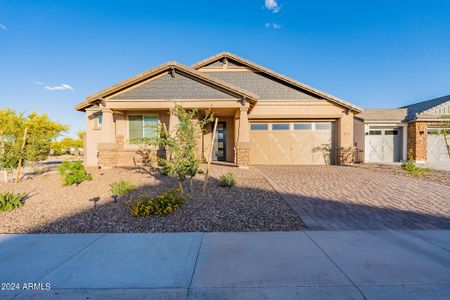 New construction Single-Family house 12269 E Chiricahua Place, Gold Canyon, AZ 85118 - photo 64 64
