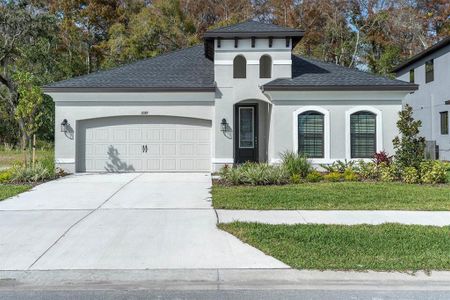 New construction Single-Family house 11389 Weaver Hollow Rd, New Port Richey, FL 34654 - photo 0