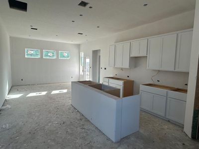 New construction Single-Family house 1200 Golden Bird St, Georgetown, TX 78628 Cheyenne- photo 5 5