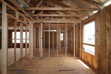 New construction Single-Family house 31801 Sapna Chime Drive, Wesley Chapel, FL 33545 Alenza- photo 31 31