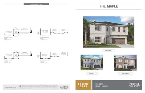 New construction Single-Family house Maple, 5793 Timber Meadow Way, Saint Cloud, FL 34771 - photo
