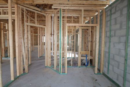 New construction Single-Family house 4778 Beachrose Way, Lakeland, FL 33811 Barcello- photo 24 24