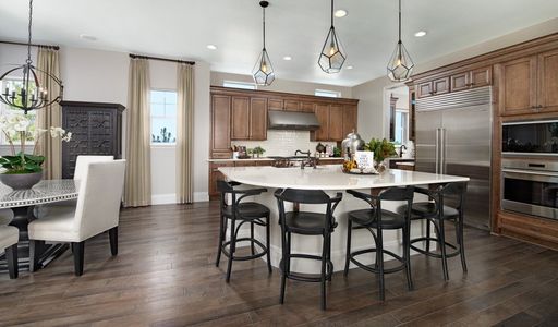 Blacktail at The Meadows by Richmond American Homes in Castle Rock - photo 35 35