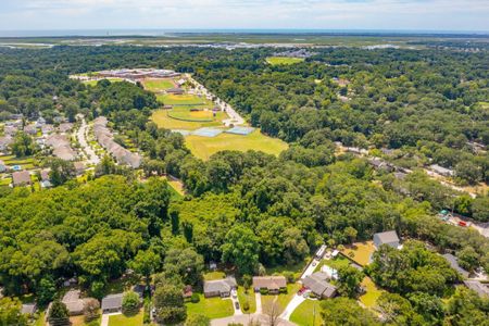 New construction Single-Family house 912 Dills Bluff Road, Charleston, SC 29412 - photo 24 24