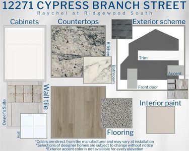 New construction Single-Family house 12271 Cypress Branch Street, Riverview, FL 33579  RAYCHEL - photo 21 21