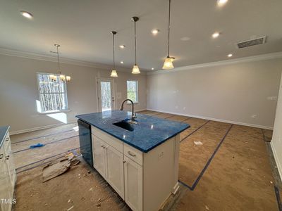 New construction Single-Family house 301 Double Barrel Street, Lillington, NC 27546 - photo 2 2