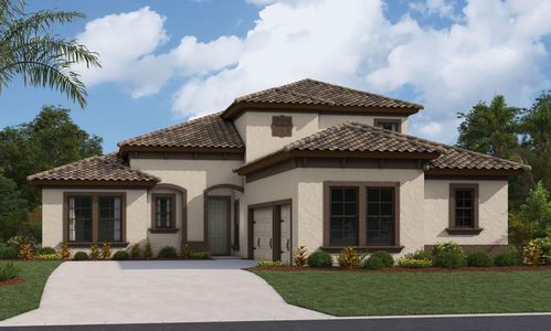 New construction Single-Family house Sand Key II, 10517 Meadowrun Drive, Lithia, FL 33547 - photo