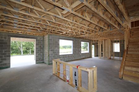 New construction Single-Family house 9611 Crescent Ray Drive, Wesley Chapel, FL 33545 Dali- photo 21 21