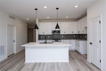 New construction Single-Family house 1771 Water Birch Way, Castle Rock, CO 80108 - photo 10 10