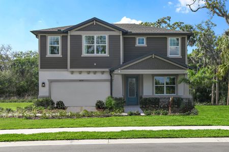 Sandalwood new home by William Ryan Homes Tampa