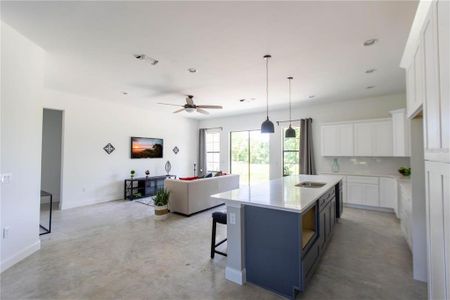New construction Single-Family house 4423 Citrus Drive, Saint Cloud, FL 34772 - photo 4 4