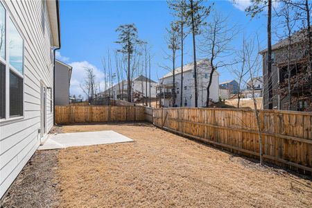 New construction Single-Family house 129 Summit Pointe Drive, Dallas, GA 30132 - photo 27 27