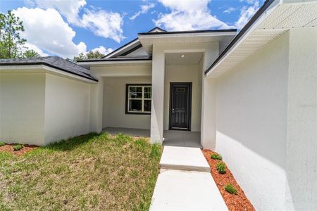 New construction Single-Family house 4444 Sw 118 Terrace, Dunnellon, FL 34432 - photo 3 3