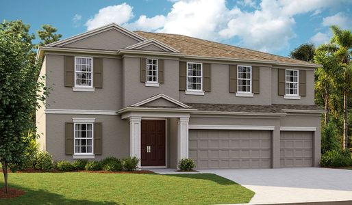 New construction Single-Family house 6027 Golden Nettle Drive, Apollo Beach, FL 33572 Virginia Park- photo 0