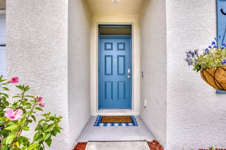 New construction Single-Family house 2608 Palmbrooke Way, Edgewater, FL 32141 - photo 2 2