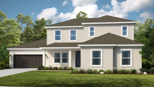 New construction Single-Family house Anna Marie, 33314 Castaway Loop, Wesley Chapel, FL 33543 - photo