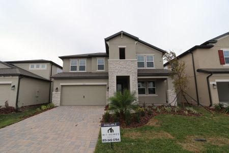 New construction Single-Family house 7757 Bronze Oak Drive, Wesley Chapel, FL 33545 Santa Monica- photo 0
