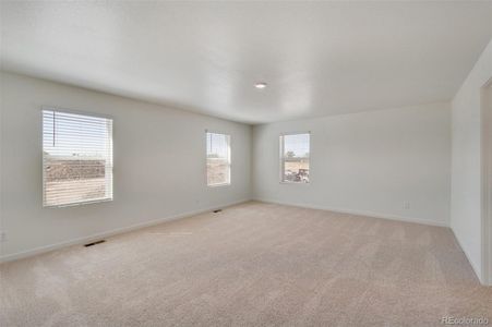 New construction Single-Family house 412 Bluebird Road, Johnstown, CO 80534 Hennessy - photo 20 20