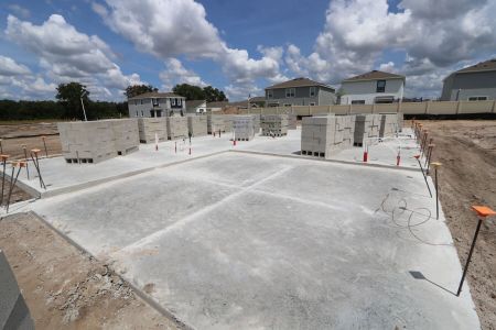 New construction Single-Family house 31793 Sapna Chime Drive, Wesley Chapel, FL 33545 Picasso- photo 5 5