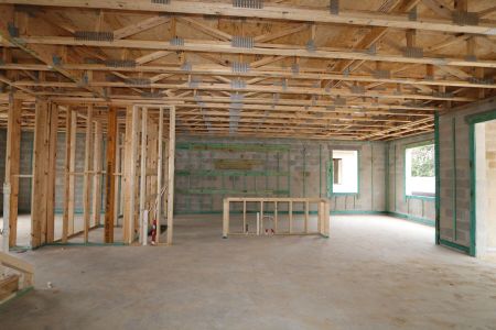 New construction Single-Family house 12114 Hilltop Farms Drive, Dade City, FL 33525 Alenza- photo 27 27