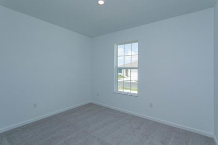 New construction Single-Family house 1578 Outback Road W, Saint Cloud, FL 34771 Mulberry- photo 20 20