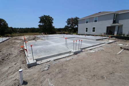 New construction Single-Family house 9635 Crescent Ray Drive, Wesley Chapel, FL 33545 Mira Lago- photo 19 19