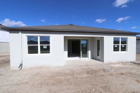 New construction Single-Family house 38124 Shale Stone Court, Zephyrhills, FL 33540 Miranda- photo 7 7