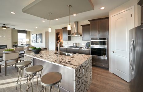 Sterling Ranch Apex Collection by Pulte Homes in Littleton - photo 33