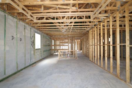 New construction Single-Family house 2868 Misty Marble Drive, Zephyrhills, FL 33540 Herrera- photo 25 25