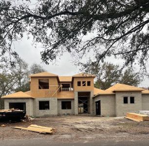 New construction Single-Family house 4327 Glendon Place, Valrico, FL 33596 - photo 3 3