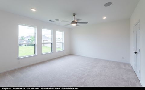 New construction Single-Family house 1319 Pleasant Springs Court, Montgomery, TX 77316 - photo 25 25