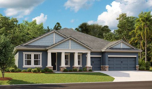 New construction Single-Family house 10517 Meadowrun Drive, Lithia, FL 33547 - photo 2 2