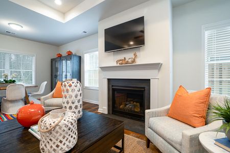 Petterson Meadows by Mungo Homes in Summerville - photo 29 29