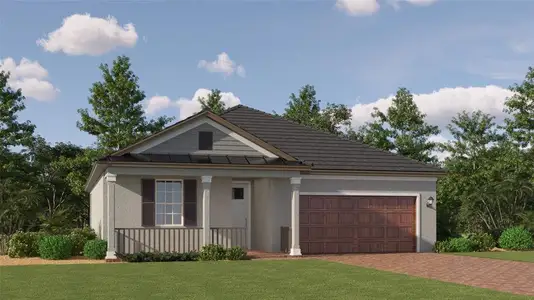 New construction Single-Family house 10093 Banyan Breeze Boulevard, Land O' Lakes, FL 34638 - photo 0