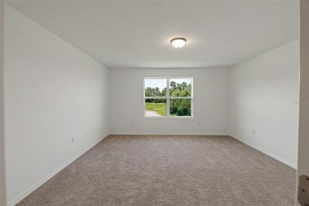 New construction Townhouse house 5967 Chestnut Grove Place, Saint Cloud, FL 34771 Cosmos- photo 20 20