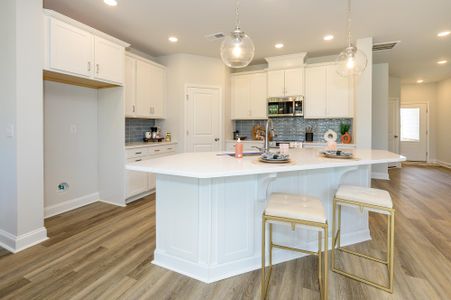 Westview Towns by David Weekley Homes in Waxhaw - photo 12 12