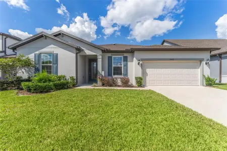 New construction Single-Family house 9408 Ibis Grove Boulevard, Wesley Chapel, FL 33545 - photo 0