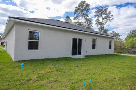 New construction Single-Family house 2475 Sw 170Th Loop, Ocala, FL 34473 - photo 52 52