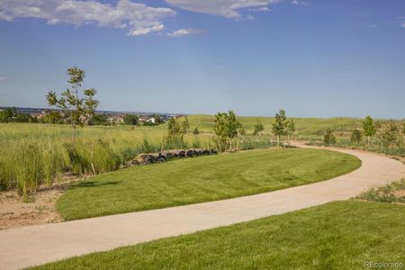 New construction Single-Family house 1659 Flourish Drive, Windsor, CO 80550 The Isleworth- photo 5 5