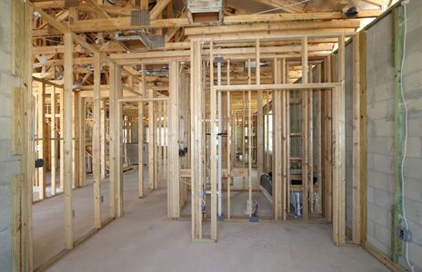 New construction Single-Family house 2466 Clary Sage Drive, Spring Hill, FL 34609 Corina  III Bonus- photo 54 54