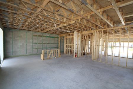 New construction Single-Family house 3077 Misty Marble Drive, Zephyrhills, FL 33540 Castellana- photo 21 21