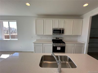 New construction Single-Family house 3803 Candlewood Drive, Johnstown, CO 80534 Elderberry- photo 7 7