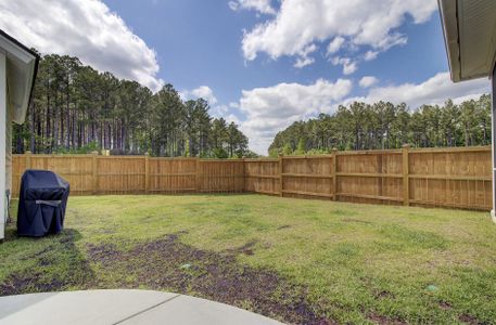New construction Single-Family house 131 River Wind Way, Summerville, SC 29485 - photo 54 54