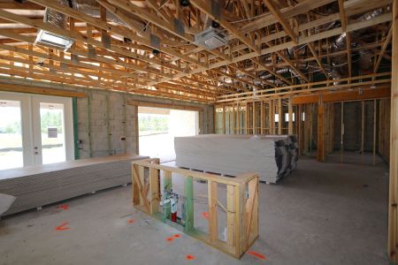 New construction Single-Family house 10609 New Morning Drive, Tampa, FL 33647 Corina  III Bonus- photo 24 24