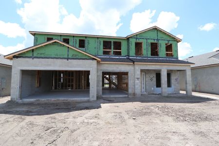 New construction Single-Family house 32556 Sapna Chime Drive, Wesley Chapel, FL 33545 Dali- photo 30 30